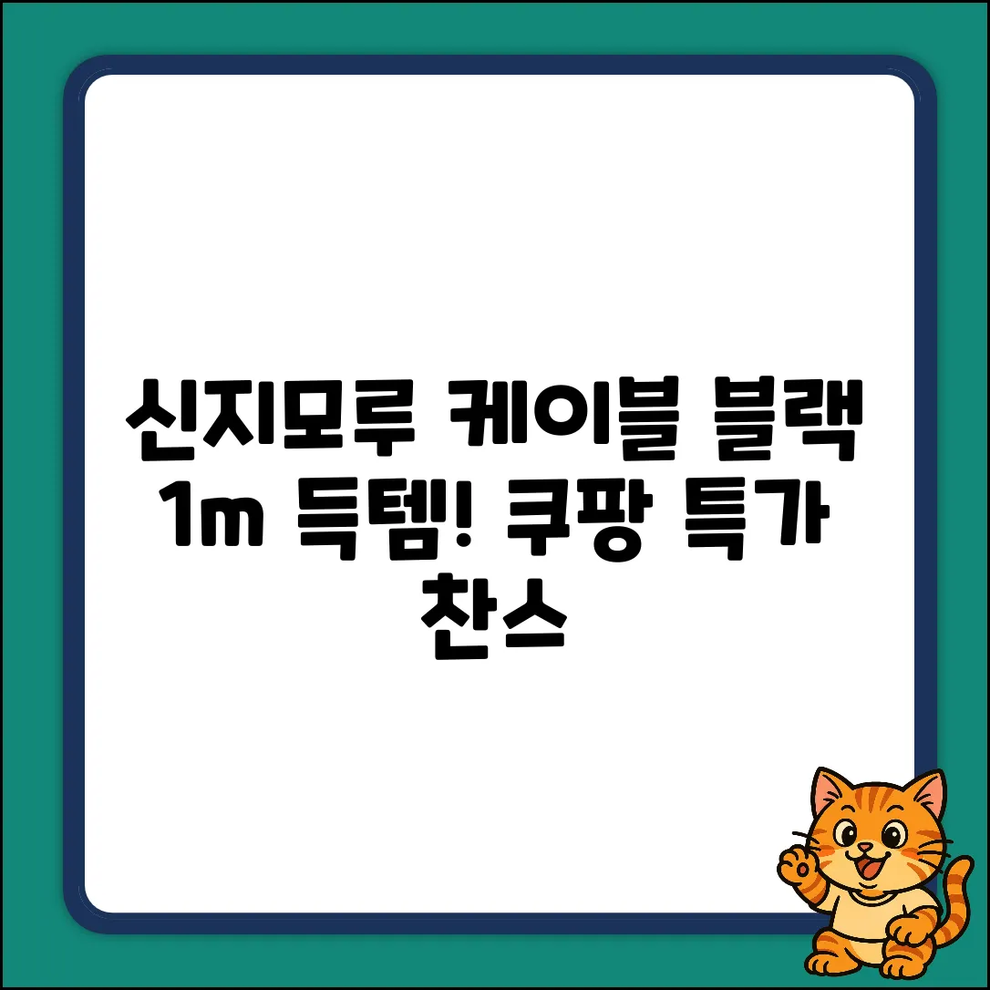 신지모루 더치 케이블 2개! 1m 블랙 득템 찬스