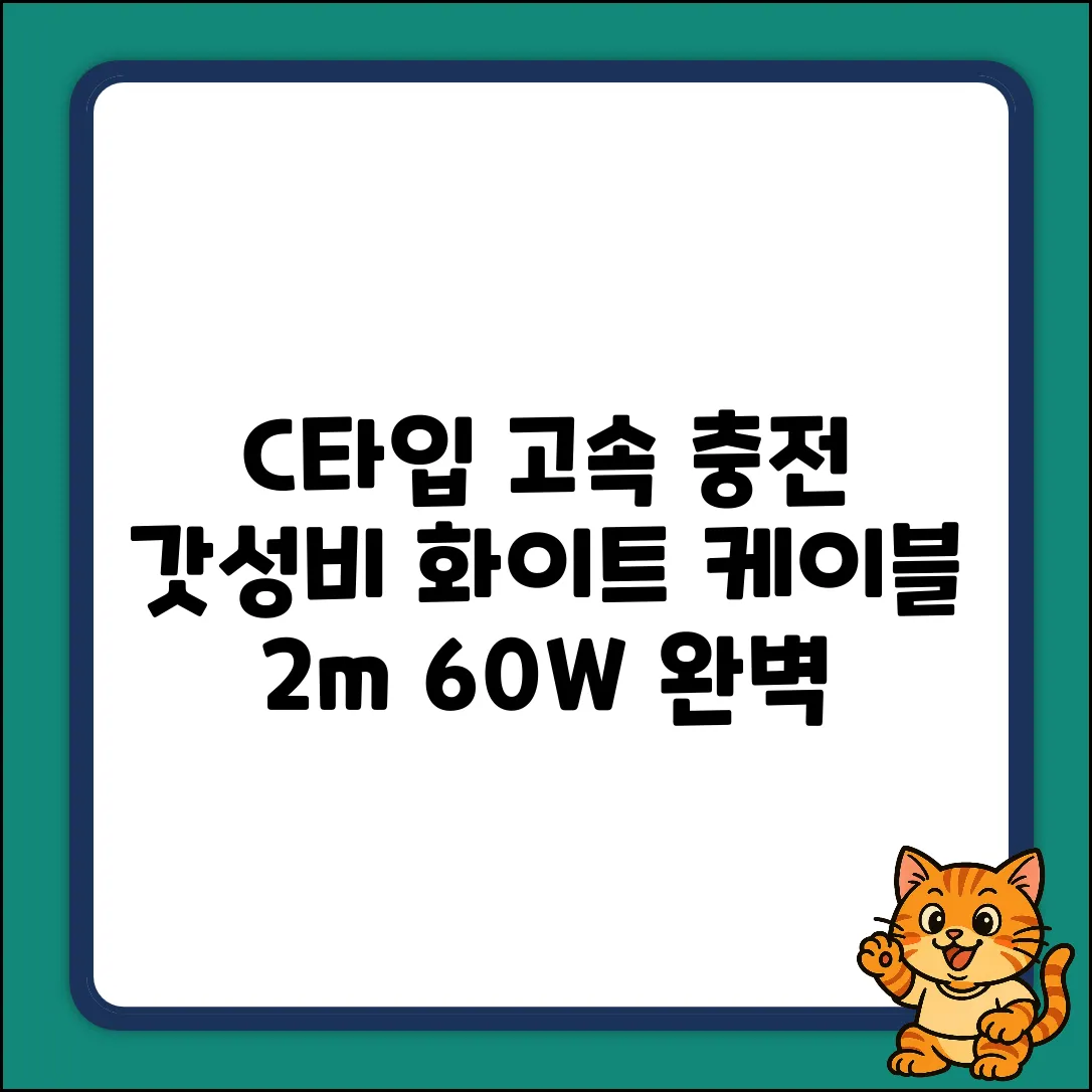 화이트 굿밸류 C타입 고속충전 케이블 완벽 가이드 (2m, 60W