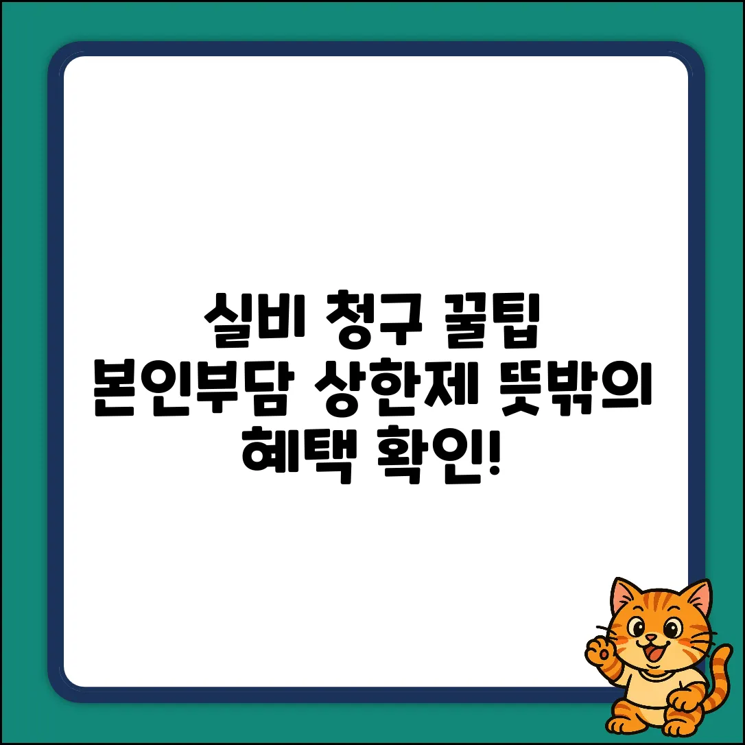 실비청구, 본인부담상한제? 뜻밖의 꿀팁!