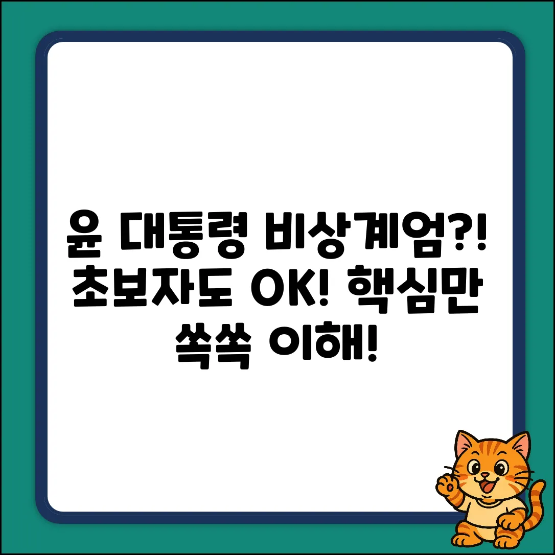 윤 대통령 비상계엄, 초보자도 쉽게 이해!