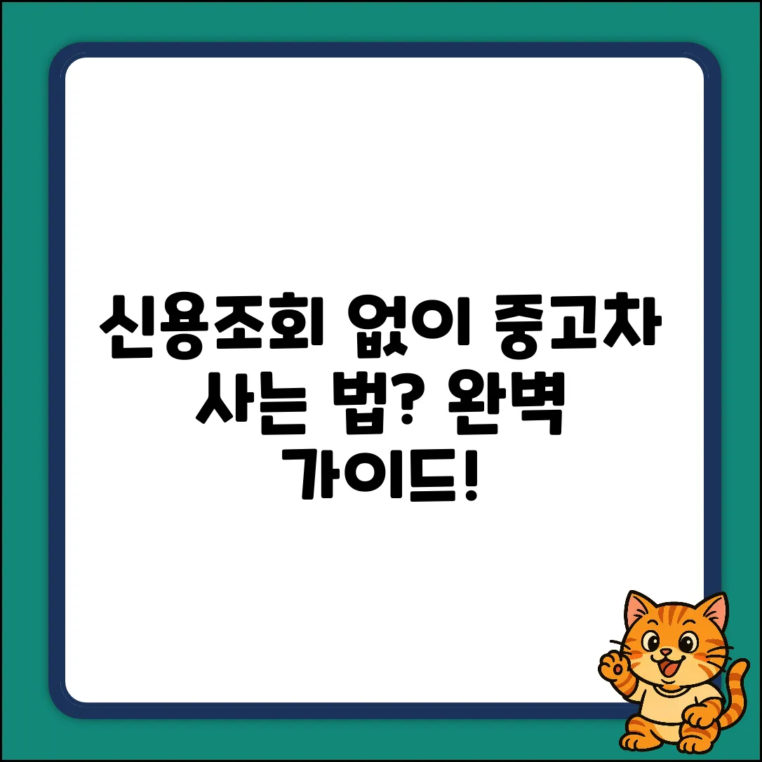 신용 조회 없이 중고차 구입? 완벽 가이드