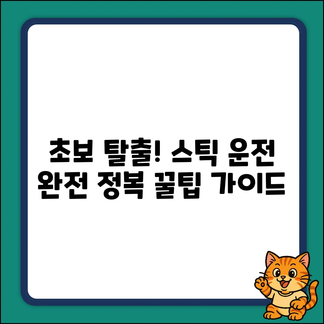 초보운전 탈출! 스틱운전 주의사항 완벽 가이드