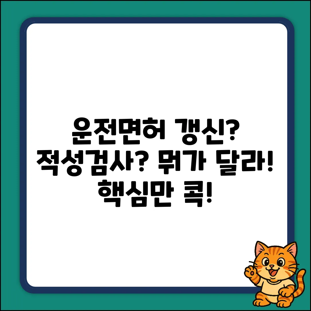 운전면허 적성검사 vs 갱신? 핵심 차이 콕!