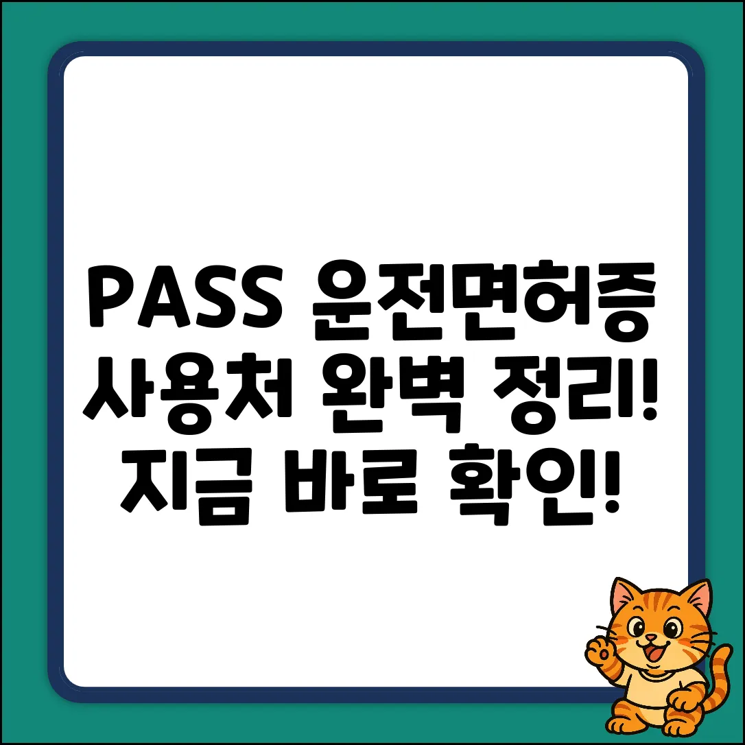 PASS 모바일 운전면허증 사용처 완벽 가이드