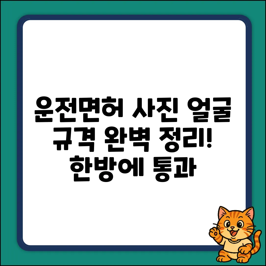 운전면허 사진, 얼굴 규격 완벽 가이드
