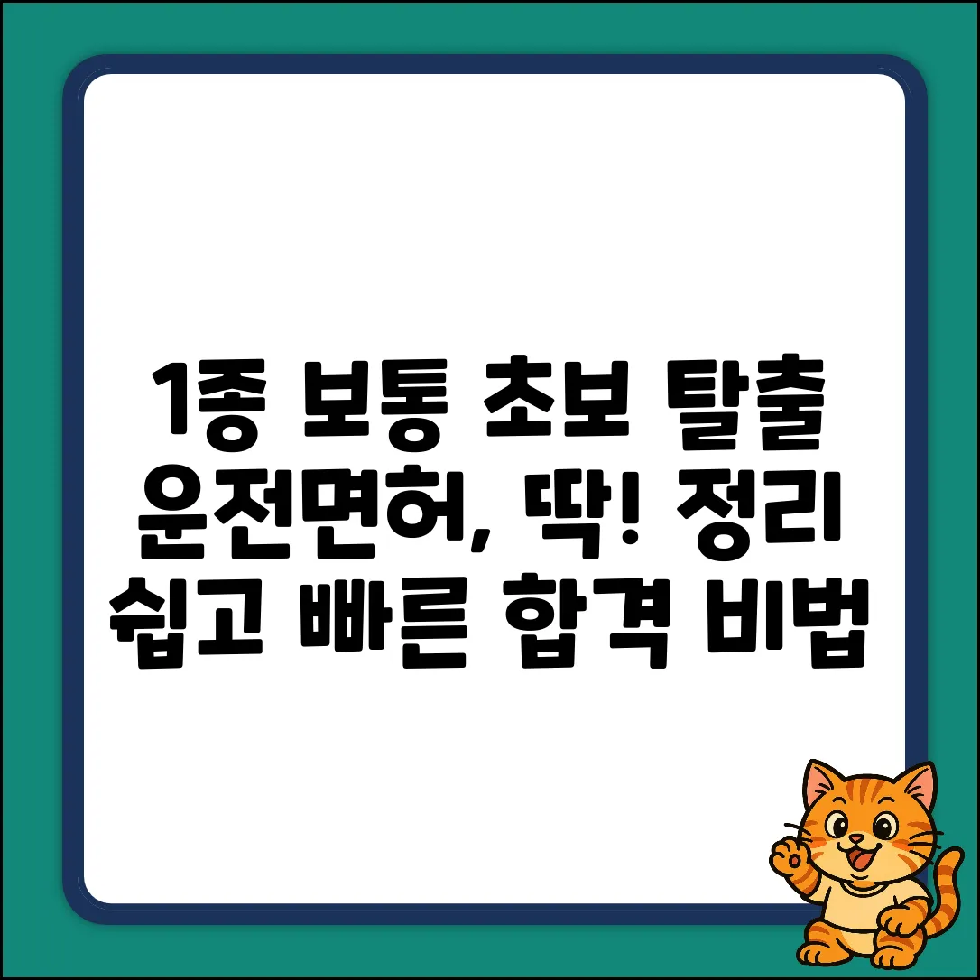 1종 보통 운전면허 뜻? 초보도 쉽게!