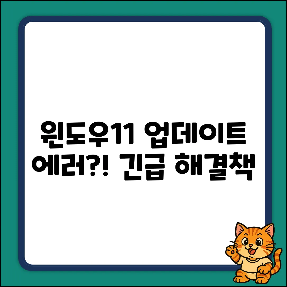 윈도우11 업데이트 서버 오류, 해결될까요?