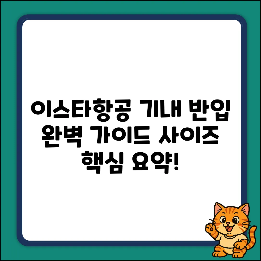 이스타항공 기내 반입 사이즈 완벽 가이드