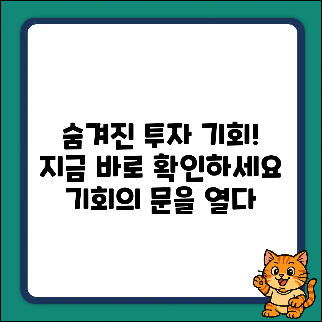 투자회사, 숨겨진 기회의 문을 열다