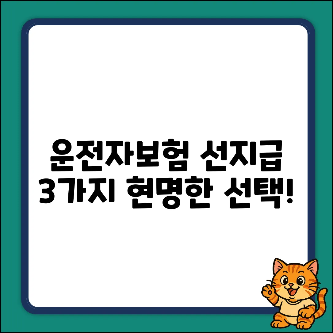 운전자보험 선지급, 3가지 현명한 선택