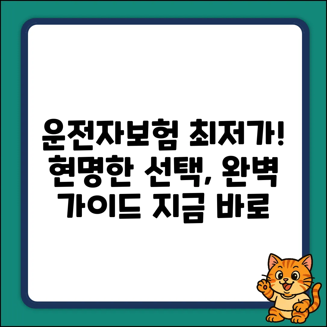 운전자보험 최저가 완벽 가이드: 현명한 선택!
